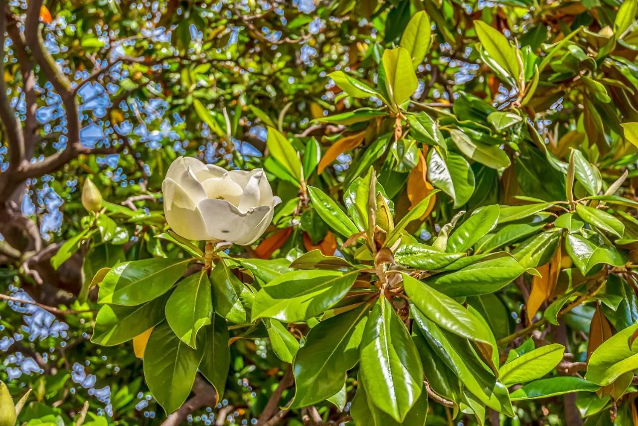 Appartamento Magnolia, Terre Marine Lerici Italia